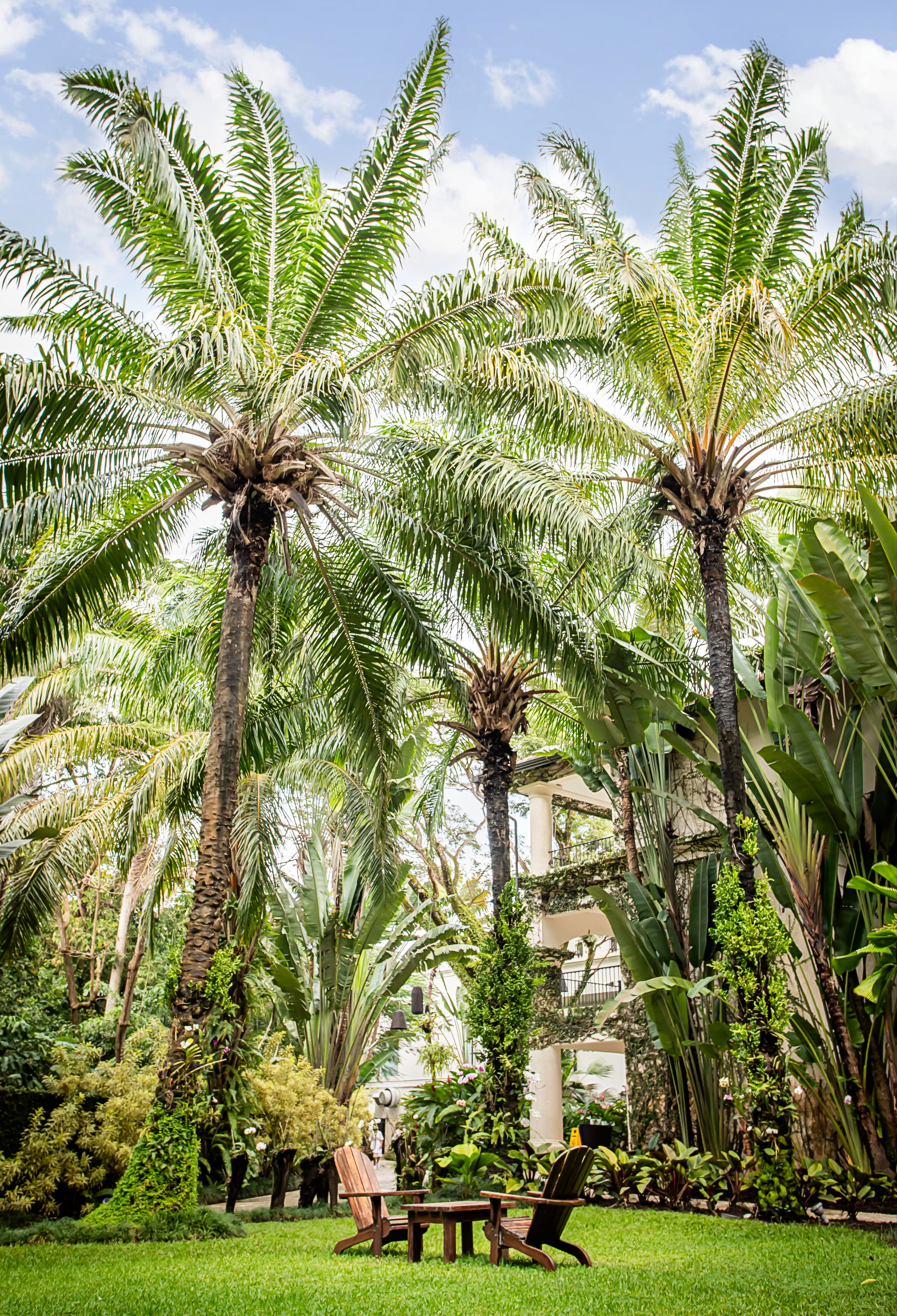 Gardens