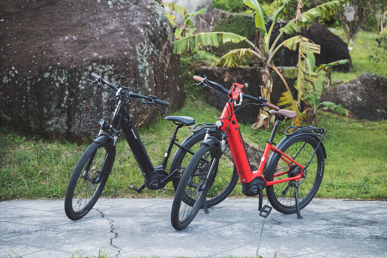 Rental Bikes